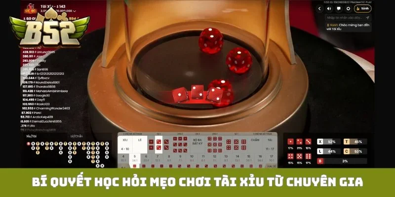 Bí quyết học hỏi mẹo chơi tài xỉu từ chuyên gia