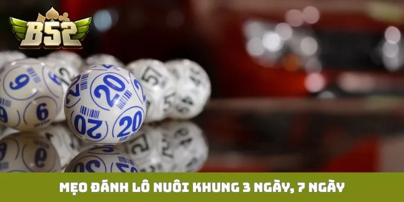 Mẹo đánh lô nuôi khung 3 ngày, 7 ngày