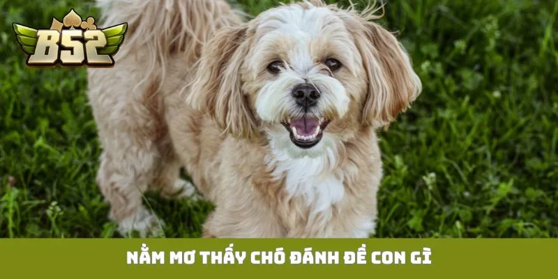 mơ thấy chó đánh đề con gì